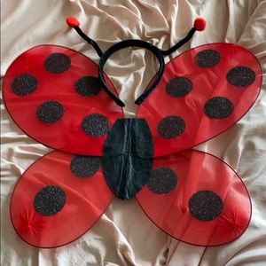 A headband and set of wings